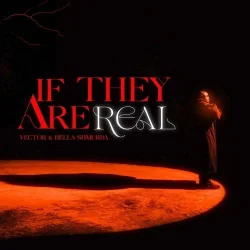 Vector - If They Are Real