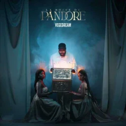 Vegedream - Pansement