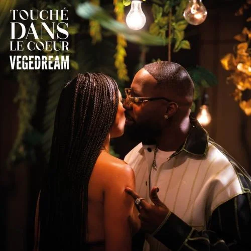 Vegedream - Touché dans le coeur