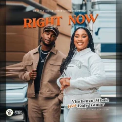 Vinchenzo M'bale - Right Now (feat. Lady Zamar)