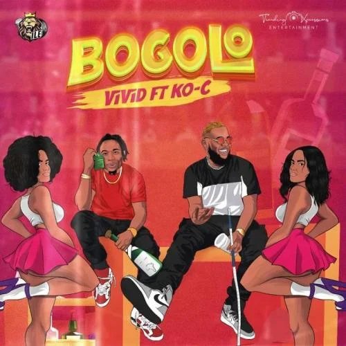 Vivid - Bogolo