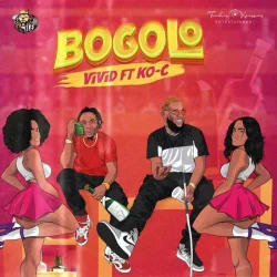 Vivid - Bogolo