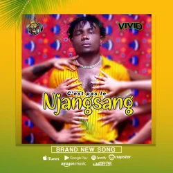 Vivid - C'est Pas Le Njangsang_