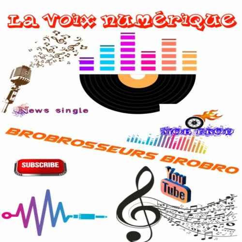 Voix Numérique - Brobrosseurs brobro - Wawacité
