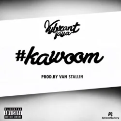 Vybrant Faya - Kawoom
