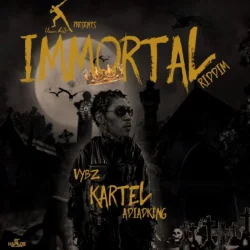 Vybz Kartel - ADIADKING