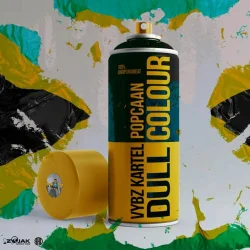 Vybz Kartel - Dull Colour (feat. Popcaan)
