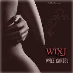 Vybz Kartel - Why