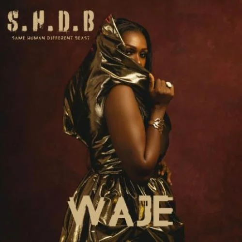 Waje - Odo