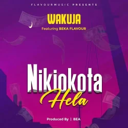 Wakuja - Nikiokota Hela (feat. Beka Flavour)