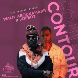 Waliy AbouNamarr - Contour (feat. Joeboy)