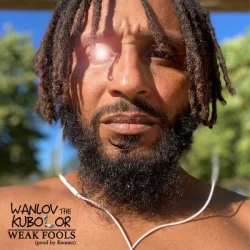 Wanlov The Kubolor - Weak Fools