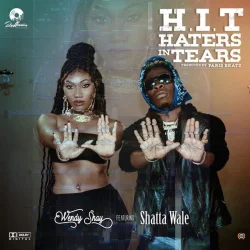 Wendy Shay - Haters In Tears (feat. Shatta Wale)