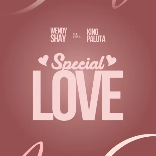 Wendy Shay - Special Love (feat. King Paluta)