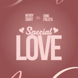 Wendy Shay - Special Love (feat. King Paluta)