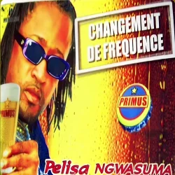 Werrason - Changement De Fréquence