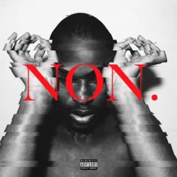 Widgunz - NON (2018)