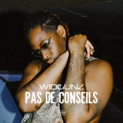 Widgunz - Pas De Conseils