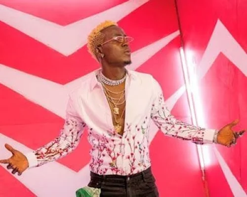 Willy Paul - Jamaican Wine