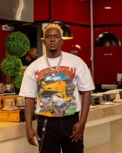 Willy Paul - My Lady
