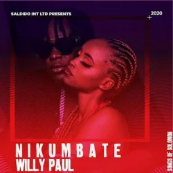 Willy Paul - Nikumbate