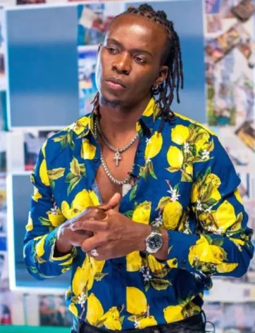Willy Paul - Nimelewa (feat. Jux)