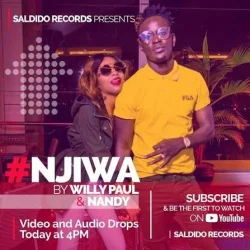Willy Paul - Njiwa (feat. Nandy)