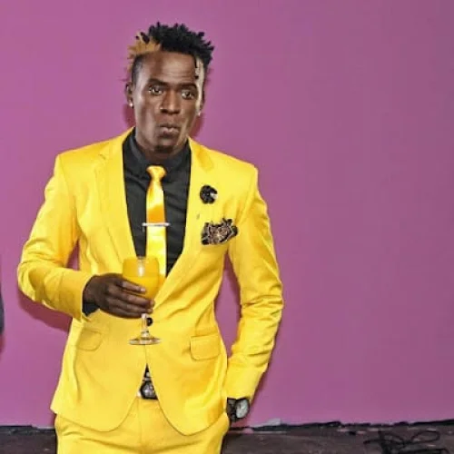 Willy Paul - Pili Pili