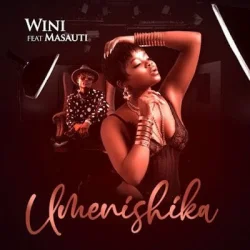 Wini - Umenishika (feat. Masauti)