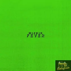 Wizkid - Fever