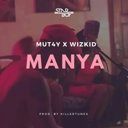 Wizkid - Manya (feat. Mut4y)