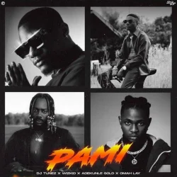 Wizkid - Pami (feat. Adekunle Gold)