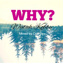 Wutah Kobby - Why (JoeBoy Baby Refix)