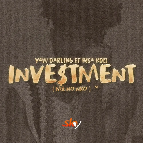 Yaw Darling - Investment (feat. Bisa Kdei)