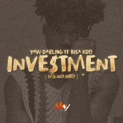 Yaw Darling - Investment (feat. Bisa Kdei)