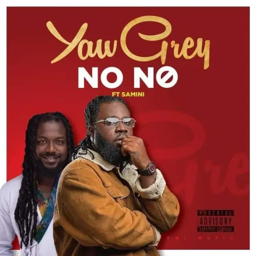 Yaw Grey - No No (feat. Samini)
