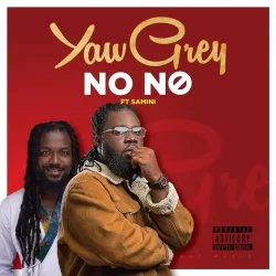 Yaw Grey - No No (feat. Samini)