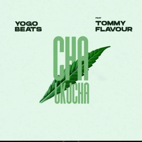 Yogobeats - Cha Ukucha (feat. Tommy Flavour)