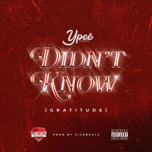 Ypee - Didn't Know (Gratitude)