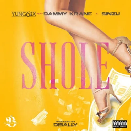 Yung6ix - Shole (feat. Dammy Krane & Sinzu)
