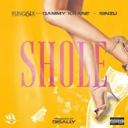 Yung6ix - Shole (feat. Dammy Krane & Sinzu)
