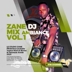 ZANE DEEJAY - MIX AMBIANCE DES FETES VOL.1