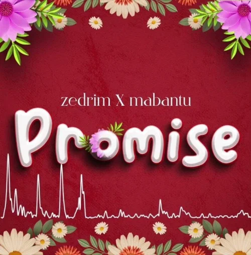 Zedrim - Promise L (feat. Mabantu)