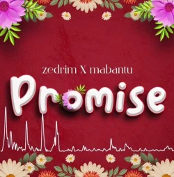 Zedrim - Promise L (feat. Mabantu)