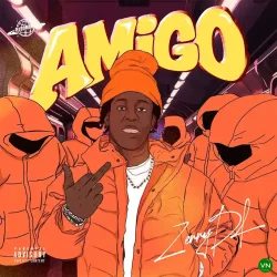 ZerryDL - My Amigo