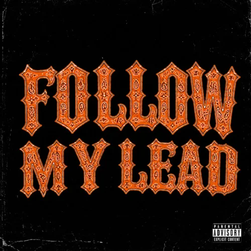 Zerry DL - Follow My Lead