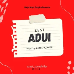 Zest - Adui