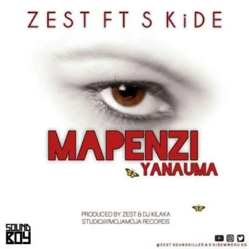 Zest - Mapenzi Yanauma (feat. S Kide)