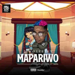 Zinoleesky - Mapariwo