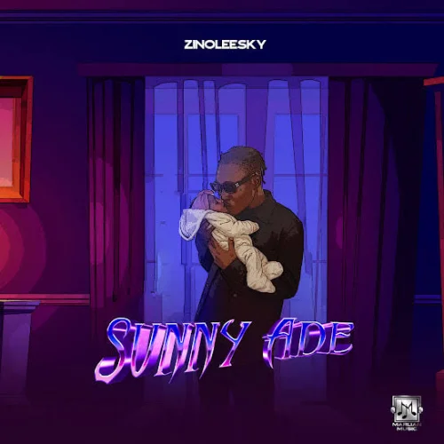 Zinoleesky - Sunny Ade